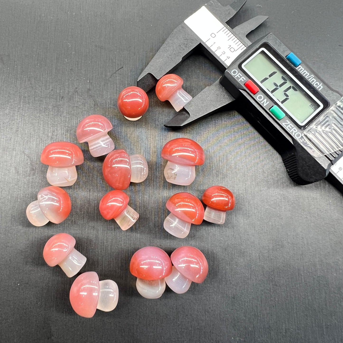 Yanyuan agate mushroom