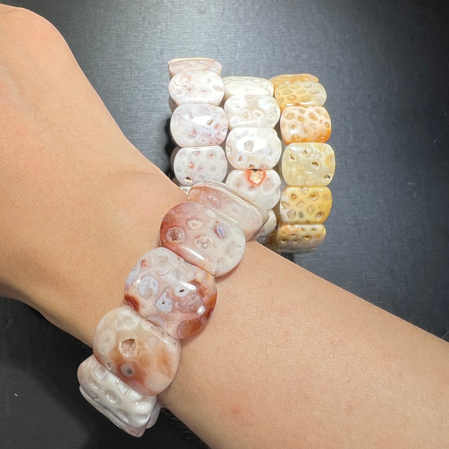 Skeleton coral has bangle
