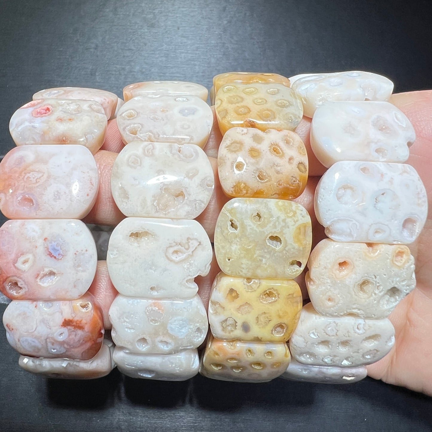 Skeleton coral has bangle