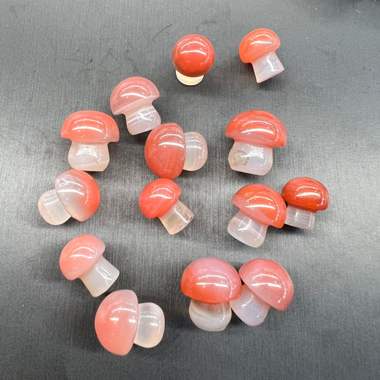 Yanyuan agate mushroom